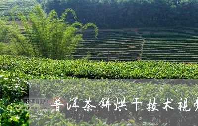 普洱茶饼烘干技术视频/2023120767592