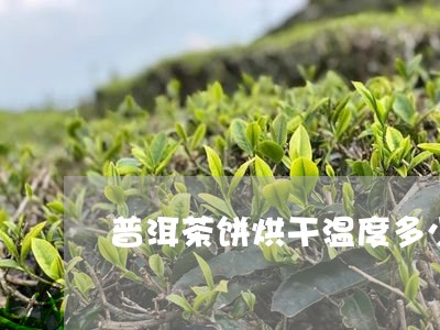 普洱茶饼烘干温度多少度/2023082465058