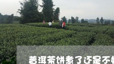 普洱茶饼煮了还是不好/2023061802847