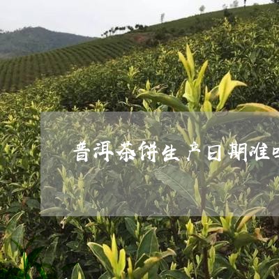 普洱茶饼生产日期准吗/2023092656069