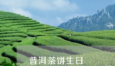 普洱茶饼生日/2023042712890