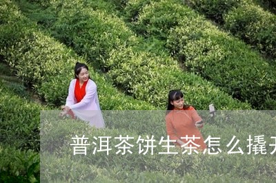 普洱茶饼生茶怎么撬开喝/2023082882817