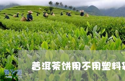 普洱茶饼用不用塑料袋/2023061457482