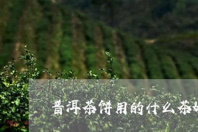 普洱茶饼用的什么茶好泡/2023083137258