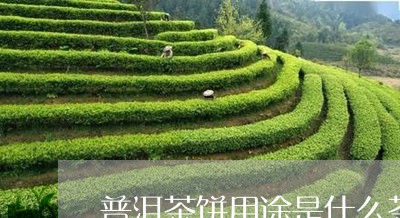 普洱茶饼用途是什么茶叶/2023121772704