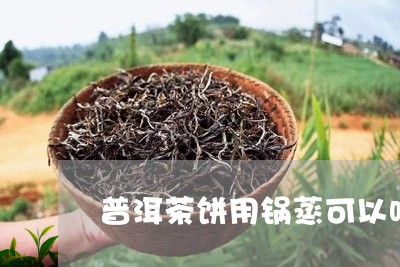 普洱茶饼用锅蒸可以吗/2023072257371