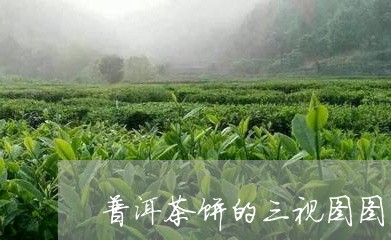 普洱茶饼的三视图图片/2023093040671