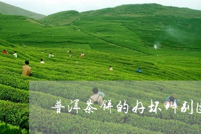 普洱茶饼的好坏辨别图/2023062929671