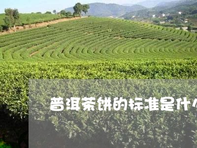 普洱茶饼的标准是什么/2023061776158