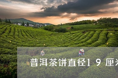 普洱茶饼直径19厘米/2023062002714