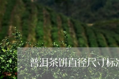 普洱茶饼直径尺寸标准/2023083185840