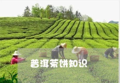 普洱茶饼知识/2023042905077