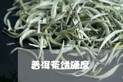 普洱茶饼硬度/2023042792328