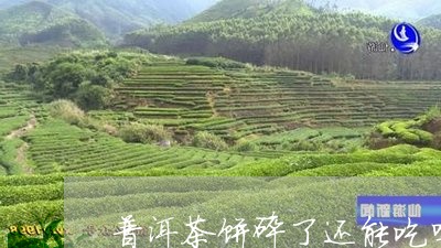 普洱茶饼碎了还能吃吗/2023073169535