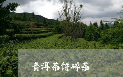 普洱茶饼碎茶/2023042850340