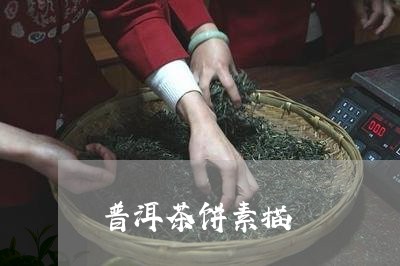 普洱茶饼素描/2023042641753