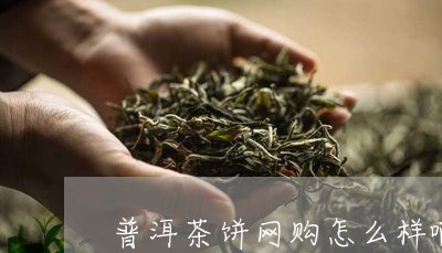 普洱茶饼网购怎么样啊能买到吗/2023110441583