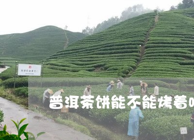 普洱茶饼能不能烤着喝呢/2023110154835