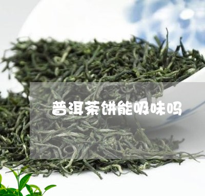 普洱茶饼能吸味吗/2023120437694