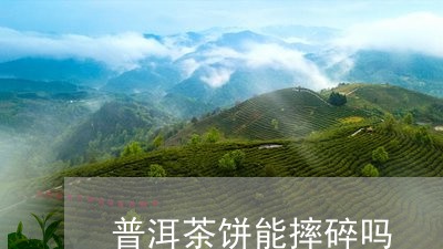 普洱茶饼能摔碎吗/2023120492937