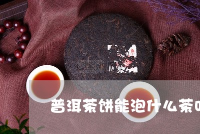 普洱茶饼能泡什么茶叶喝/2023050552915