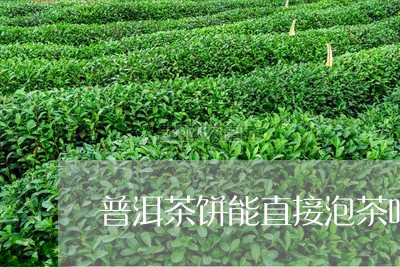 普洱茶饼能直接泡茶吗/2023062144847