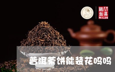 普洱茶饼能装花吗吗/2023091568485