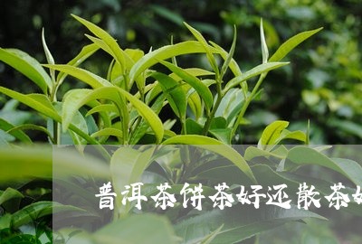 普洱茶饼茶好还散茶好/2023080346269