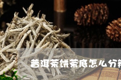 普洱茶饼茶底怎么分辨/2023100705947