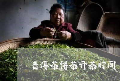 普洱茶饼茶开茶时间/2023120599792