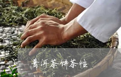 普洱茶饼茶性/2023042866610