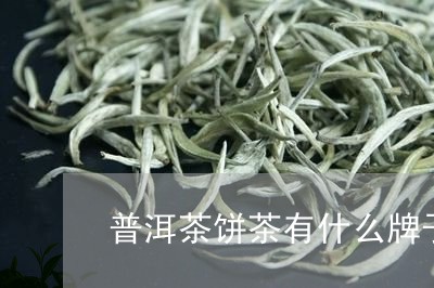 普洱茶饼茶有什么牌子/2023080268361