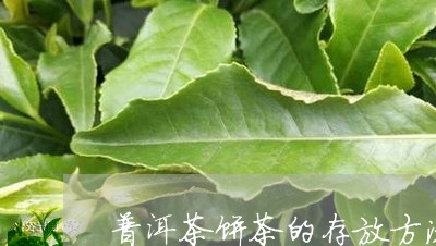 普洱茶饼茶的存放方法/2023080260362