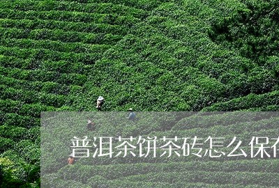 普洱茶饼茶砖怎么保存/2023080159382