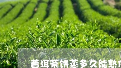 普洱茶饼蒸多久能熟化成茶/2023121723847