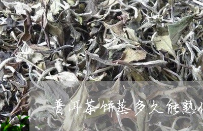 普洱茶饼蒸多久能熟化茶/2023121764828