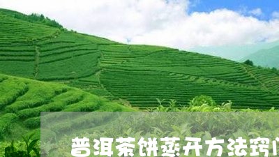 普洱茶饼蒸开方法窍门/2023121731703