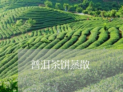 普洱茶饼蒸散/2023042694973