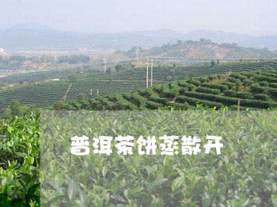 普洱茶饼蒸散开/2023120370724