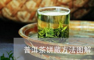 普洱茶饼藏方法图解/2023121750592