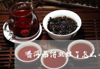 普洱茶饼虫蛀了怎么办/2023093049692