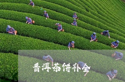 普洱茶饼补全/2023042610437