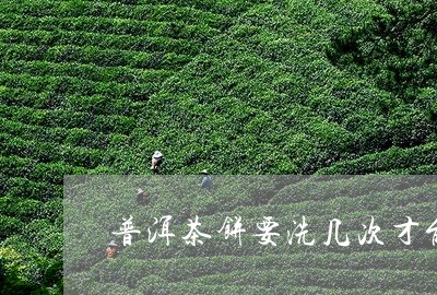 普洱茶饼要洗几次才能喝/2023083129481