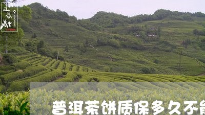 普洱茶饼质保多久不能喝/2023110795349