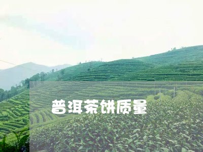 普洱茶饼质量/2023042765811