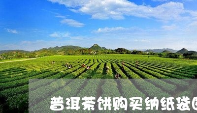 普洱茶饼购买纳纸袋图片大全集/2023052985057