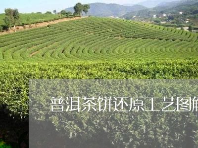 普洱茶饼还原工艺图解/2023121779490