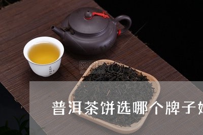 普洱茶饼选哪个牌子好/2023093062815