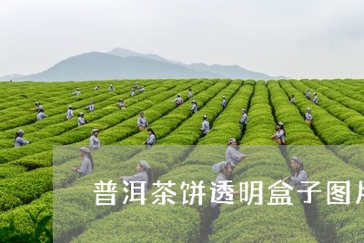 普洱茶饼透明盒子图片及价格/2023052885937