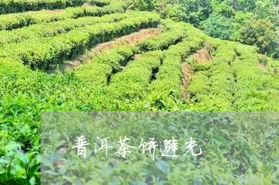 普洱茶饼避光/2023042768911